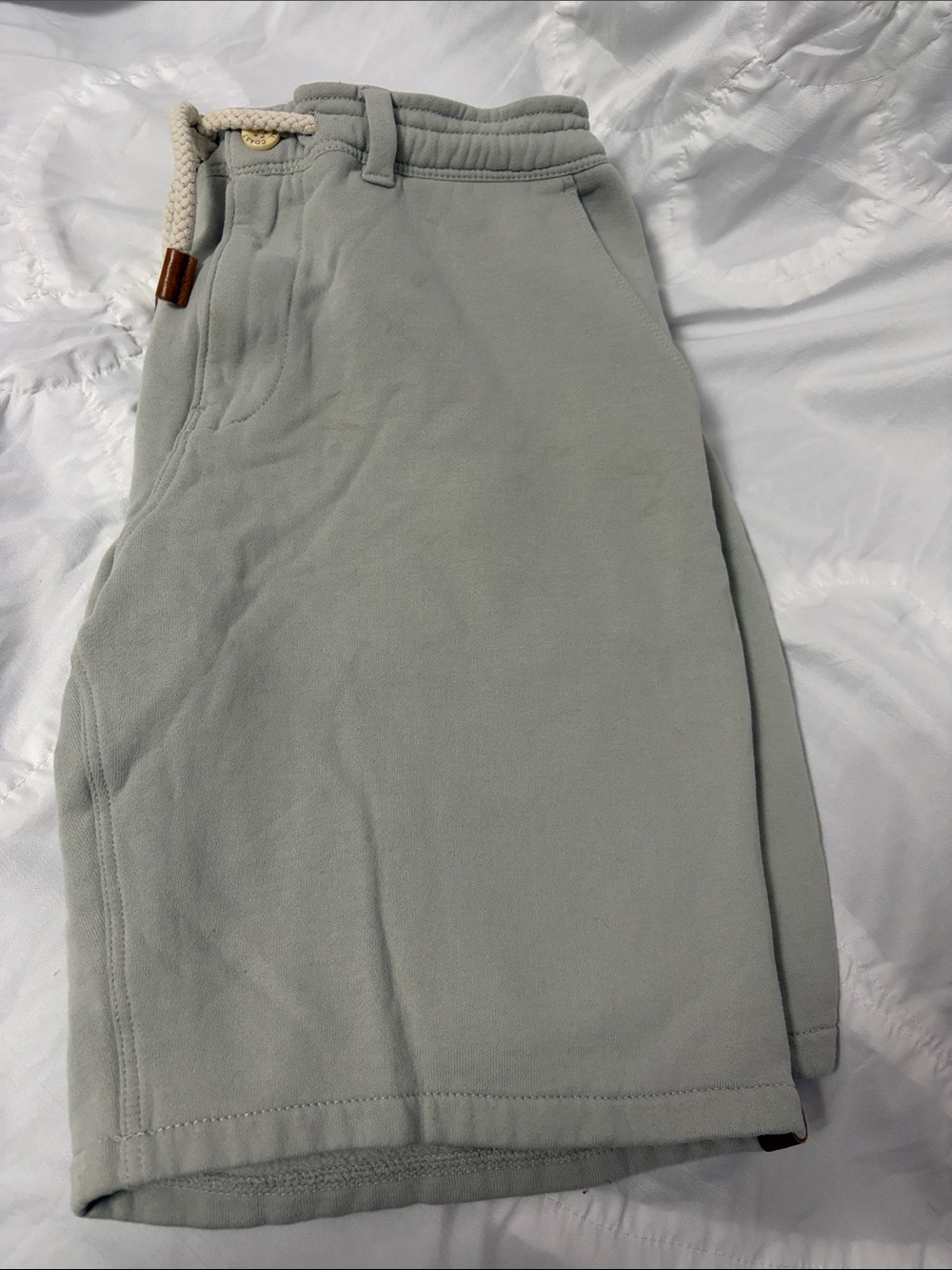Fundamental Coast Men's Shorts - Sage Green